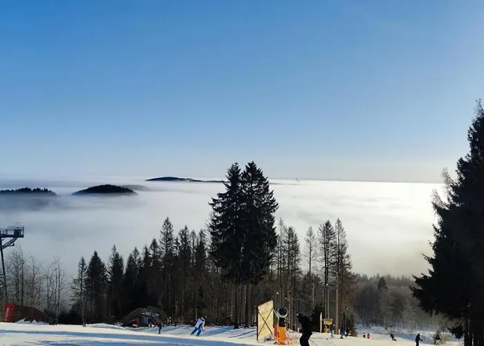 Moderne 3 Zi Daire *