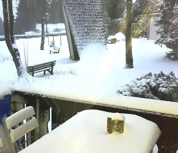 Moderne 3 Zi Daire Winterberg