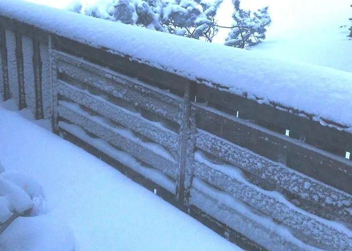 Moderne 3 Zi Daire *